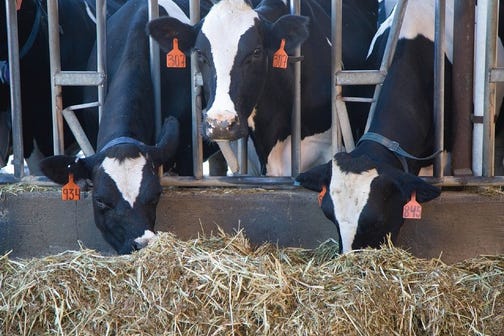 Dairy Risk-Management Education: Factors That Affect U.S. Farm-Gate Milk Prices